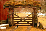 Ritland Farm 1