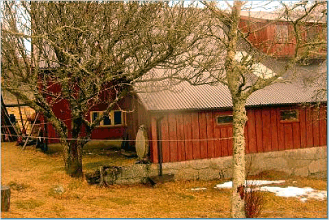 Ritland Farm 2